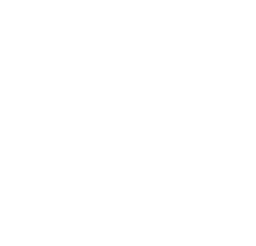 Ghana National Fire Service client logo