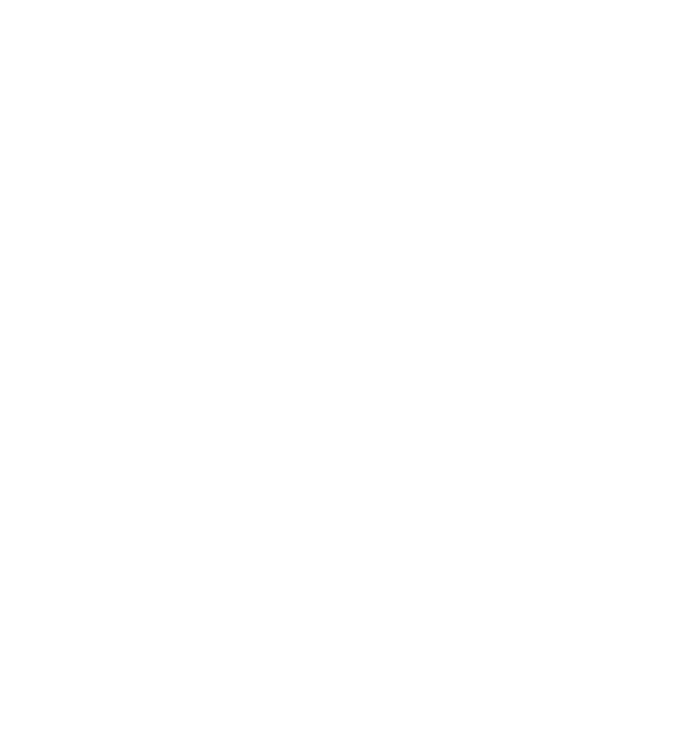 Ghana Immigration Service Client Logo