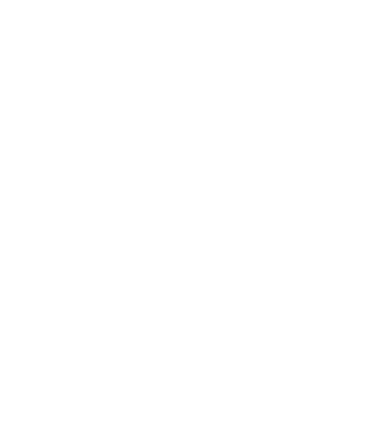Ghana Police Service client logo