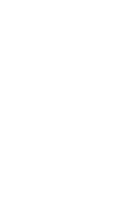 Ghana Prisons Service client logo