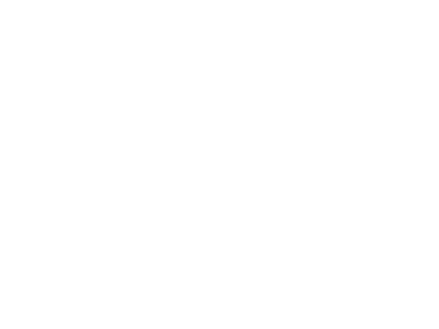 Western Union client logo