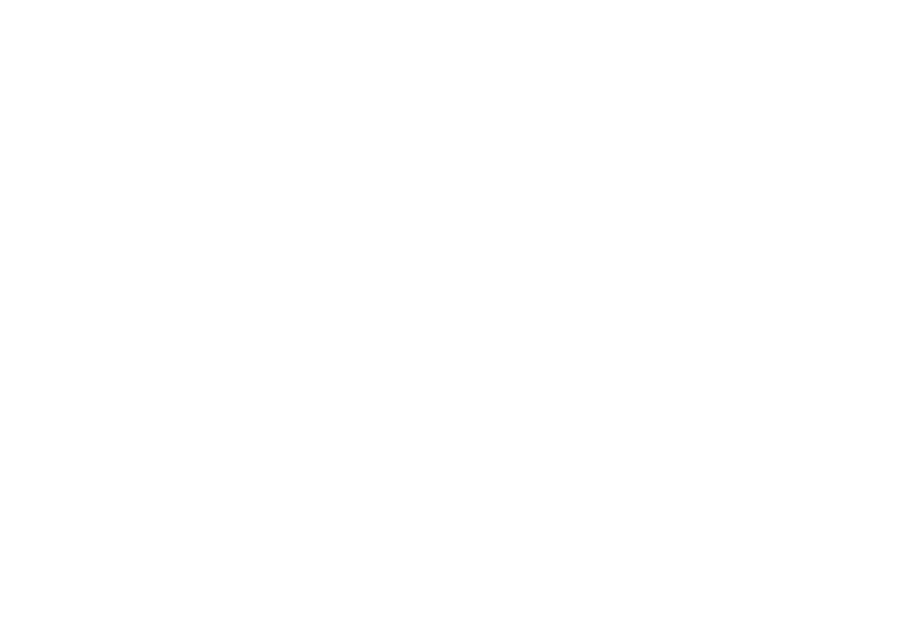 White Sands Resort client logo